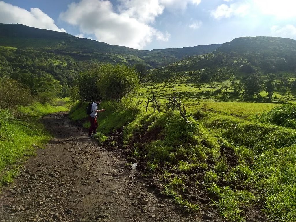 guided_botanical_walk_in_igatpuri