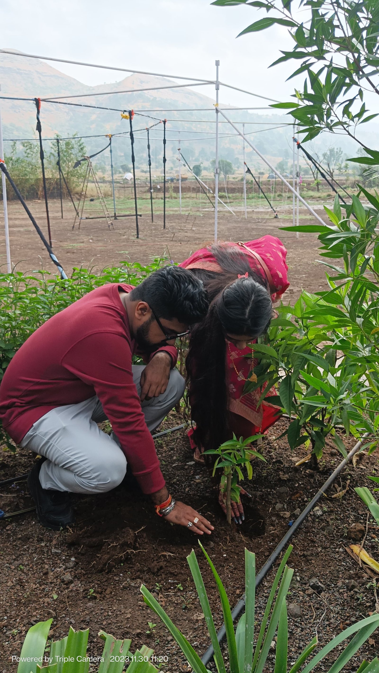 family_plantation_activity