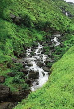 nature_walk_in_touchwood_valley