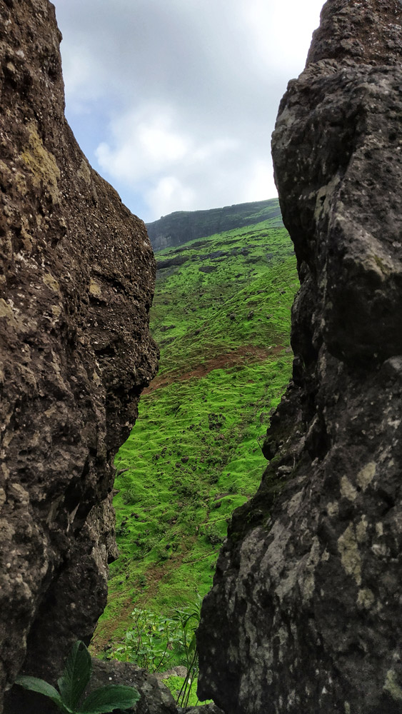 exploring_touchwood_valley_trails