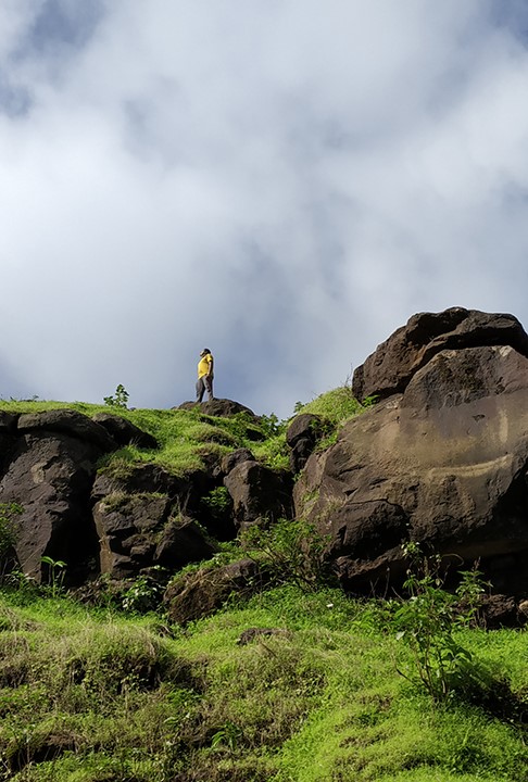 serene_walks_in_nature