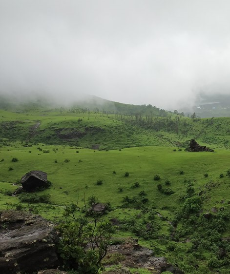 walk_to_touchwood_valley_igatpuri